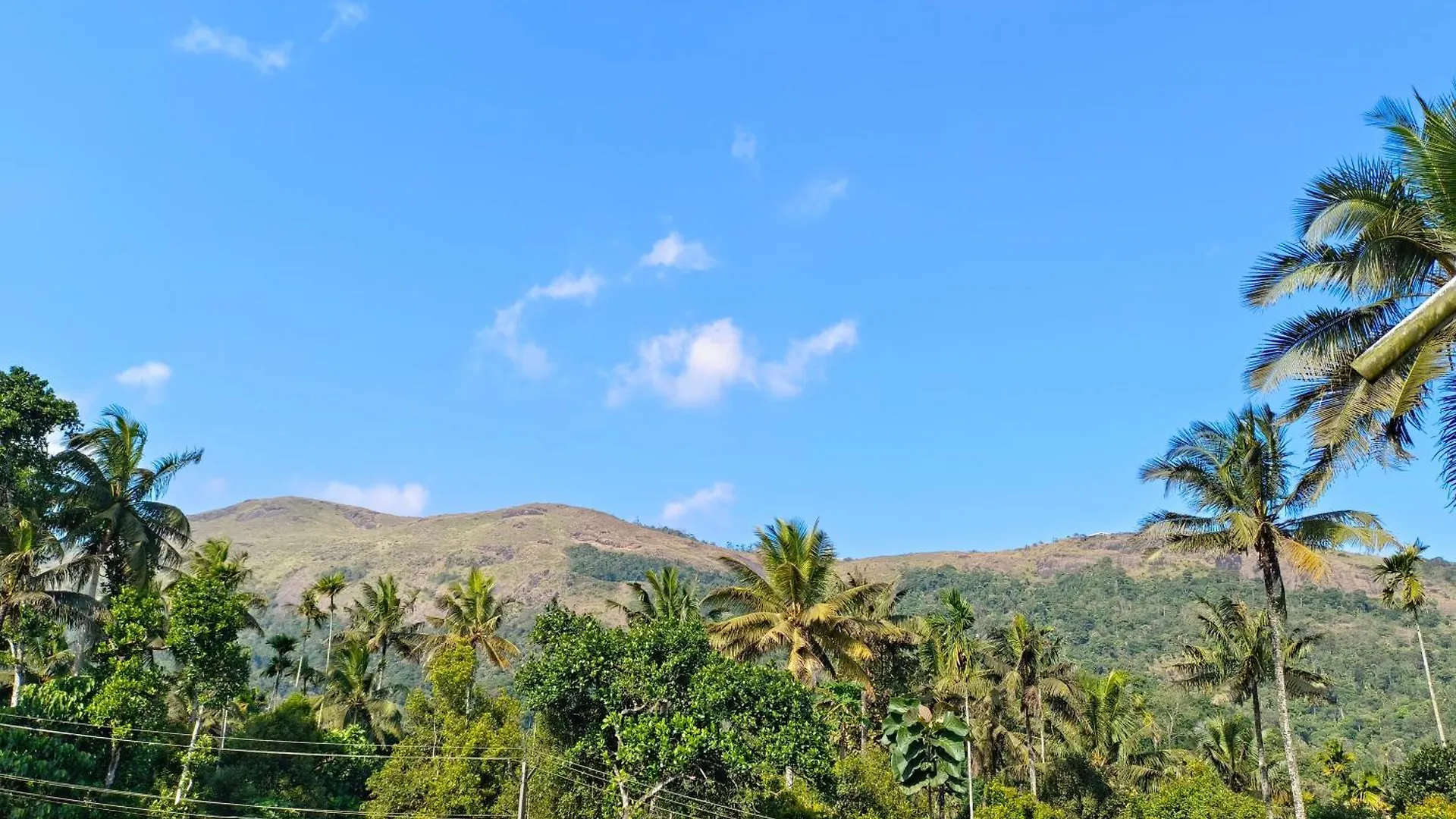 Accadio Residency Apartment Kattappana