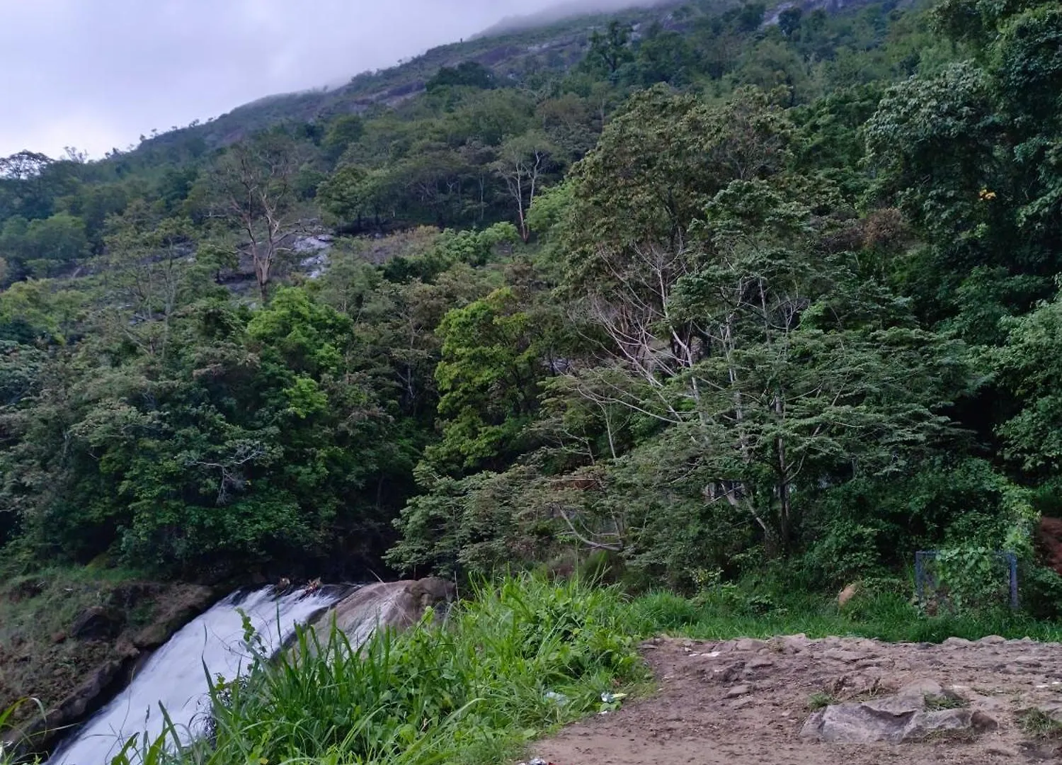 Kattappana Accadio Residency 아파트 인도